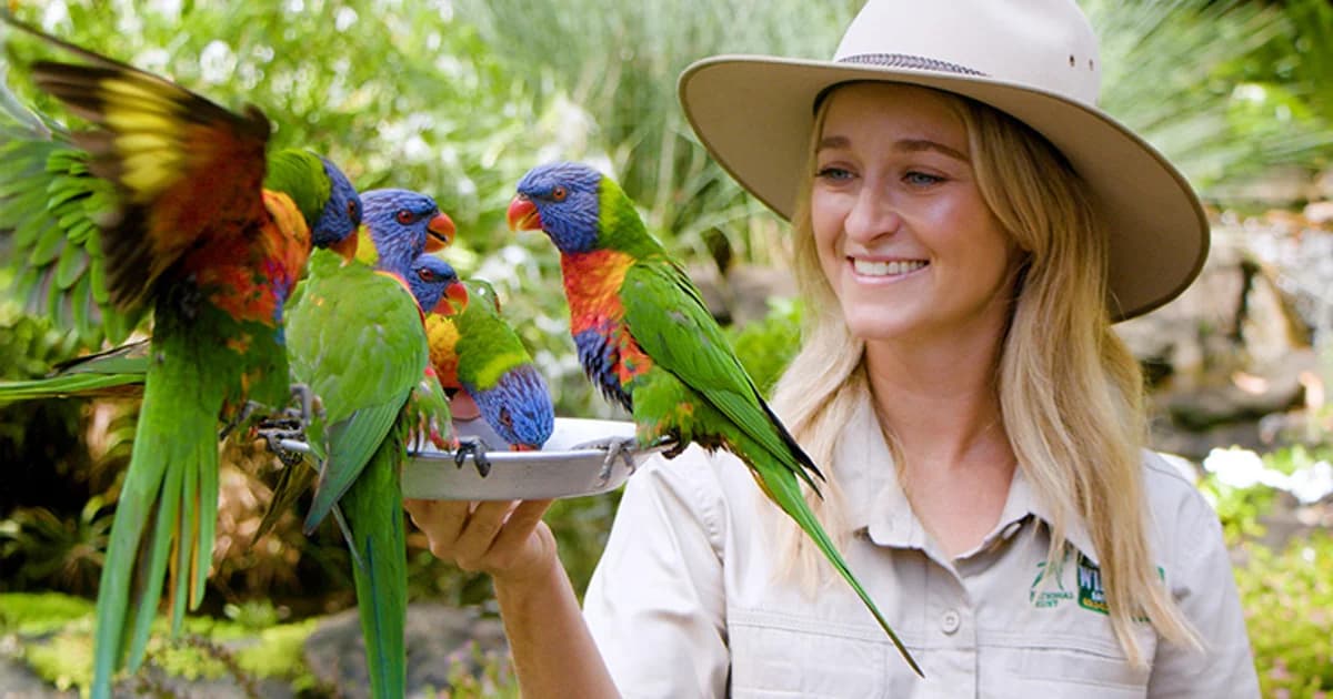 Currumbin Wildlife Sanctuary