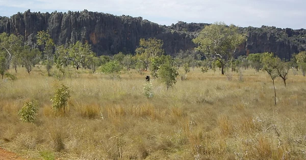 Windjana Gorge