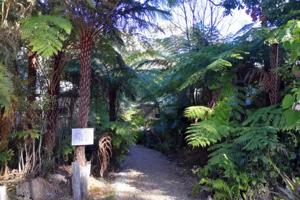 Springbrook Theosophical Retreat Centre backpacker hostel in Springbrook, QLD (photo 2 of 3)