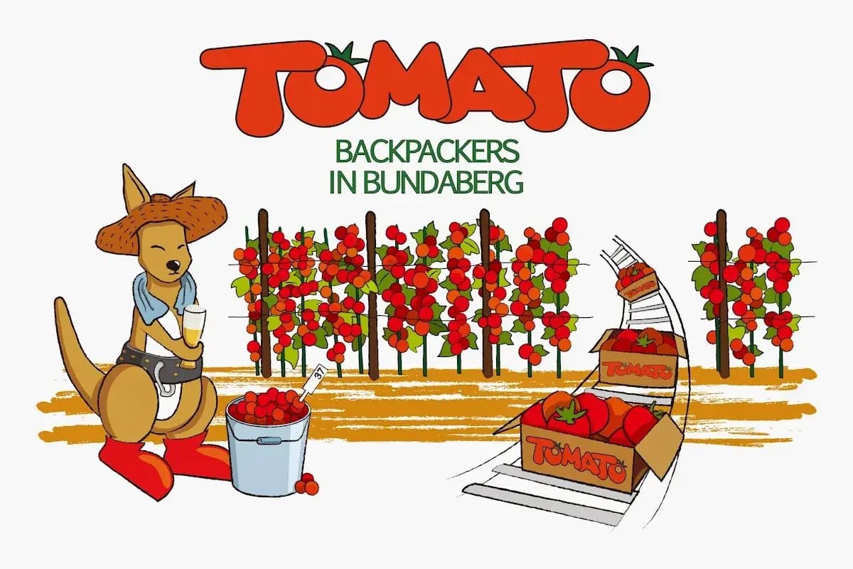 Tomato Backpackers — working hostel backpacker hostel in Bundaberg Central, QLD (photo 2 of 3)