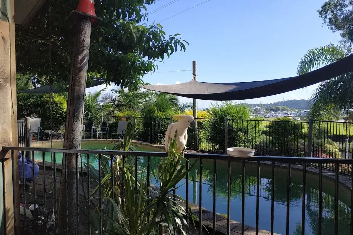 Backpackers by the Bay — party hostel backpacker hostel in Airlie Beach, QLD