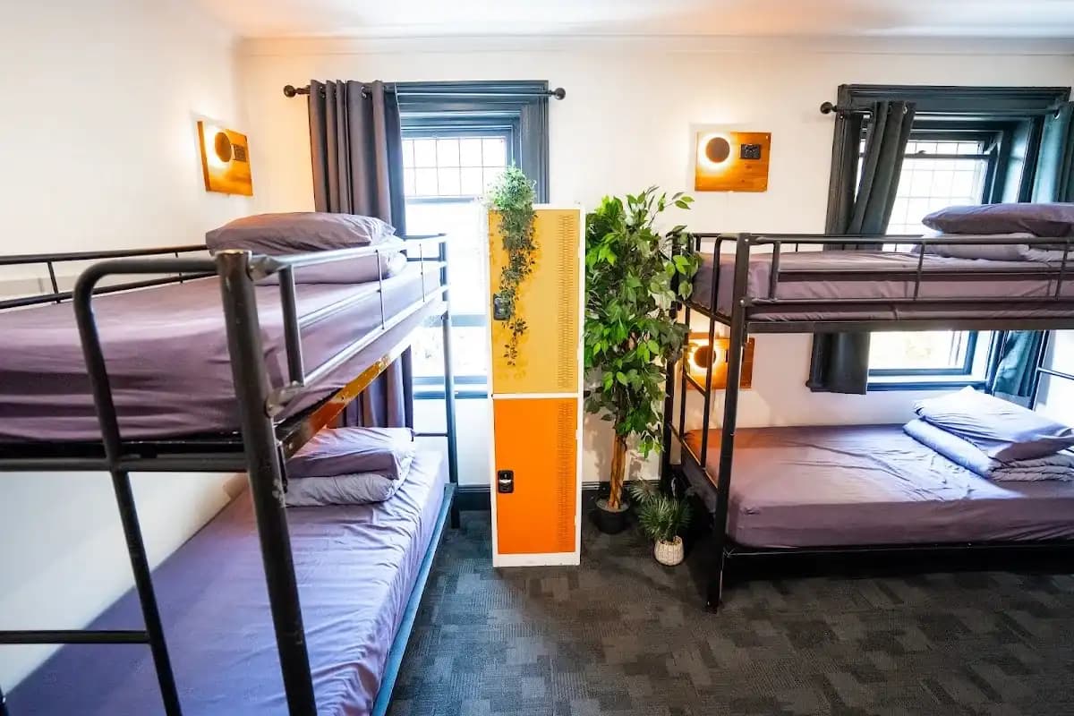 Mad Monkey Kings Cross backpacker hostel in Kings Cross, NSW (photo 2 of 3)