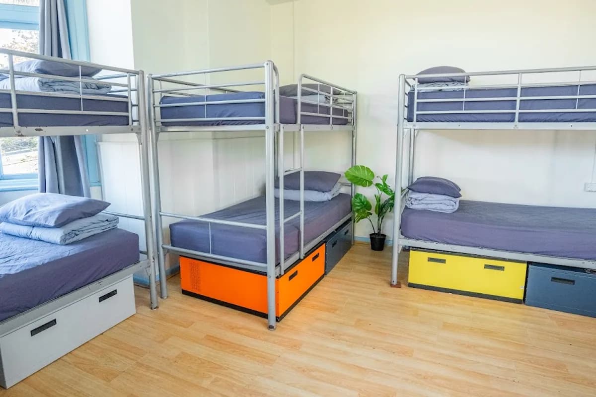Mad Monkey Bayswater backpacker hostel in Potts Point, NSW (photo 2 of 3)