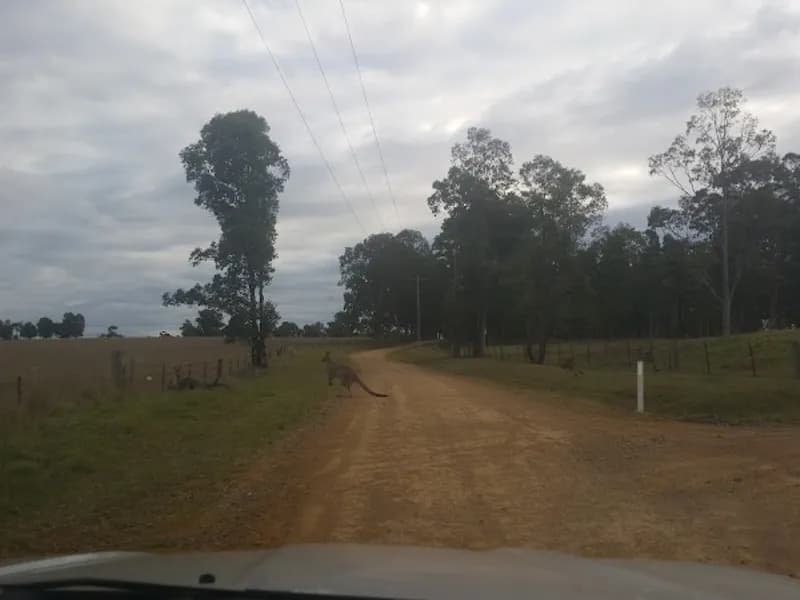 Tinklers Vineyard winery in Pokolbin, NSW