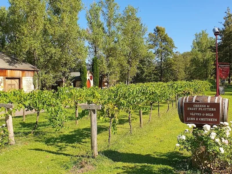 Lambs Valley Wines winery in Lambs Valley, NSW