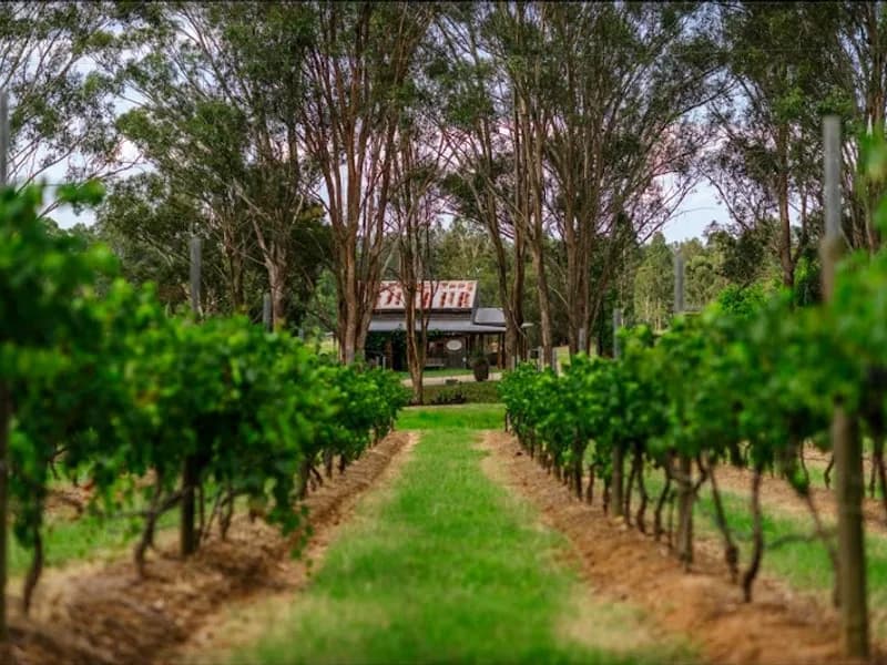 Apthorpe Estate winery in Lovedale, NSW