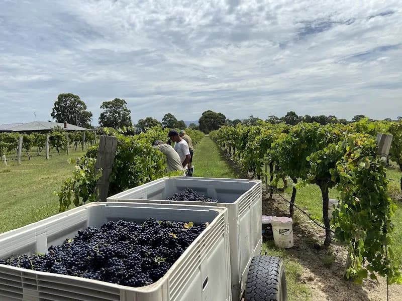 Songlines Estates winery in Cessnock, NSW