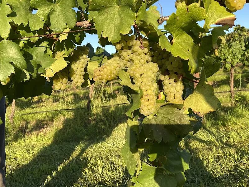 Songlines Estates winery in Cessnock, NSW