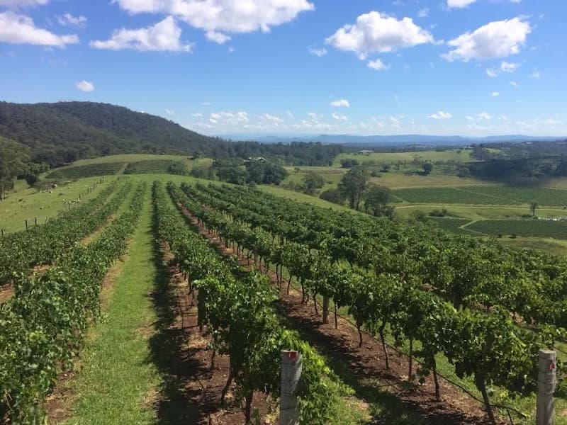 Sevenoaks Wines winery in Jerrys Plains, NSW