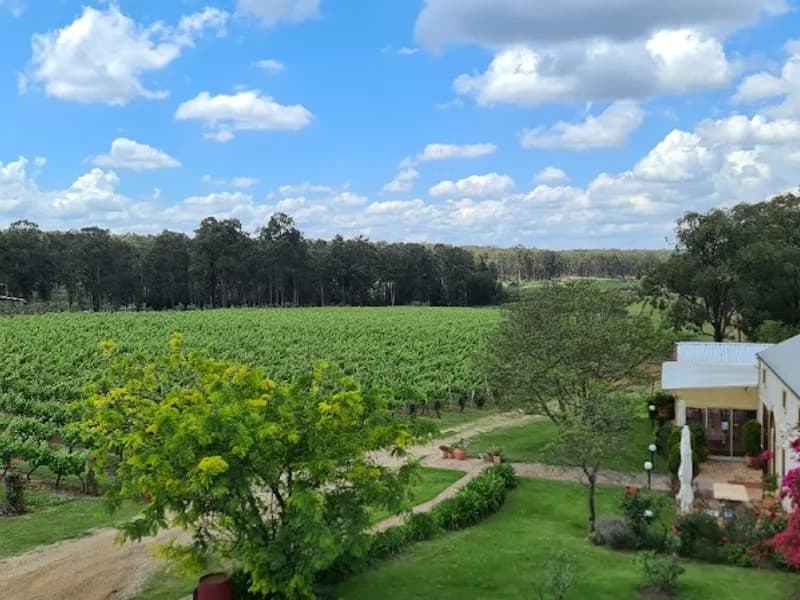Verona Vineyard winery in McDonalds Road, NSW