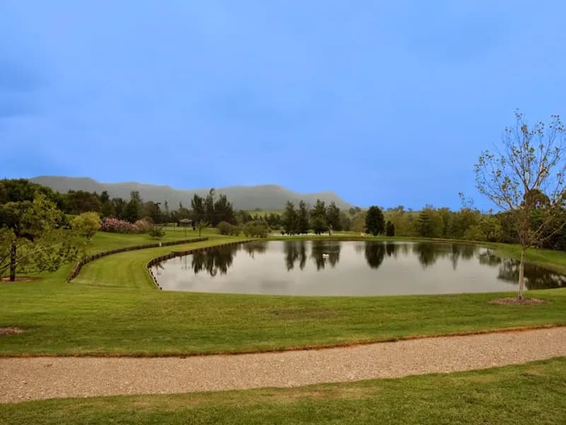 Millbrook Estate winery in Millfield, NSW