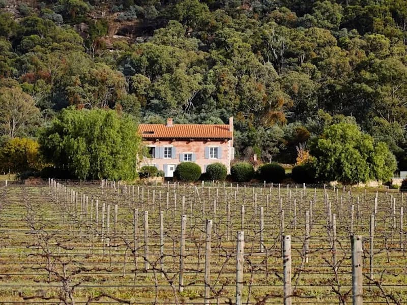 Marsh Estate winery in Pokolbin, NSW