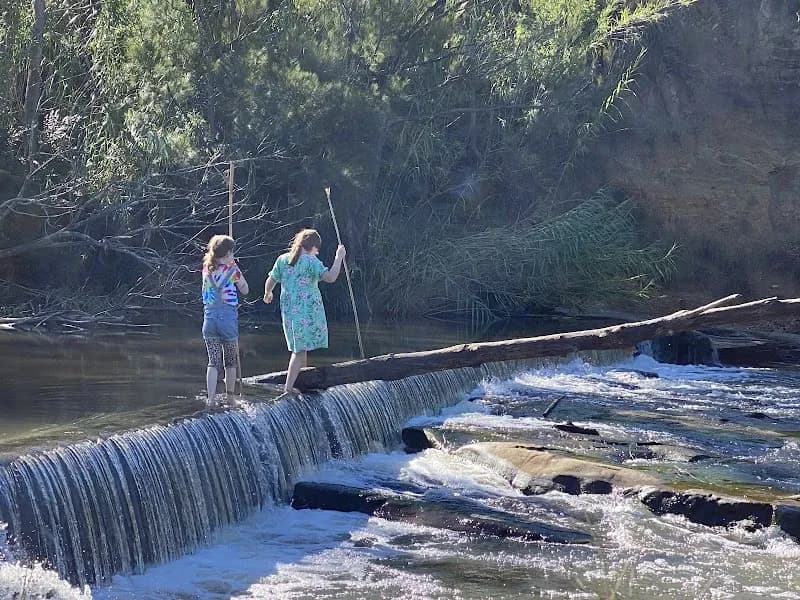 Mabrook Estate winery in Bulga, NSW