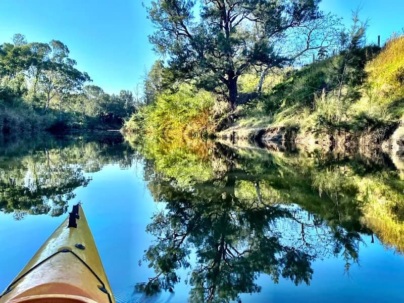 Mabrook Estate winery in Bulga, NSW