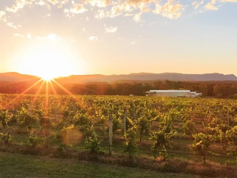 Elbourne Wines winery in Pokolbin, NSW