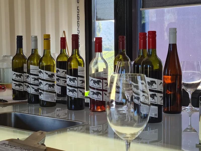 Eclectic Wines winery in Pokolbin, NSW