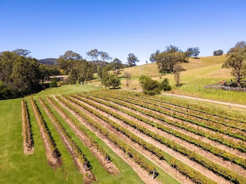 Tintilla Wines winery in Pokolbin, NSW