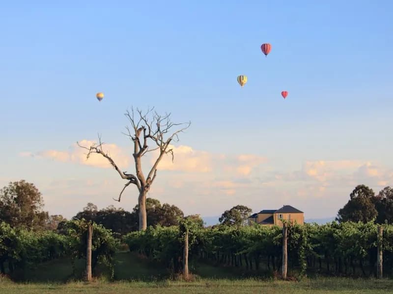 Chocolate Hills winery in Muswellbrook, NSW
