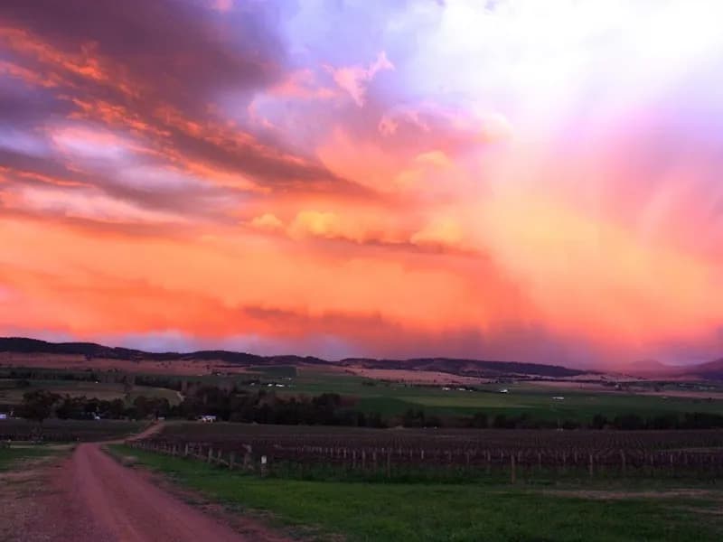 Cruickshank Callatoota Estate winery in Lane Cove, NSW