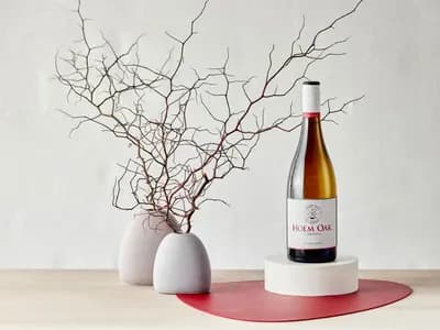 Holm Oak Vineyards winery in Rowella, TAS