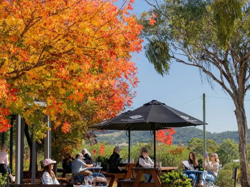 Golden Grove Estate winery