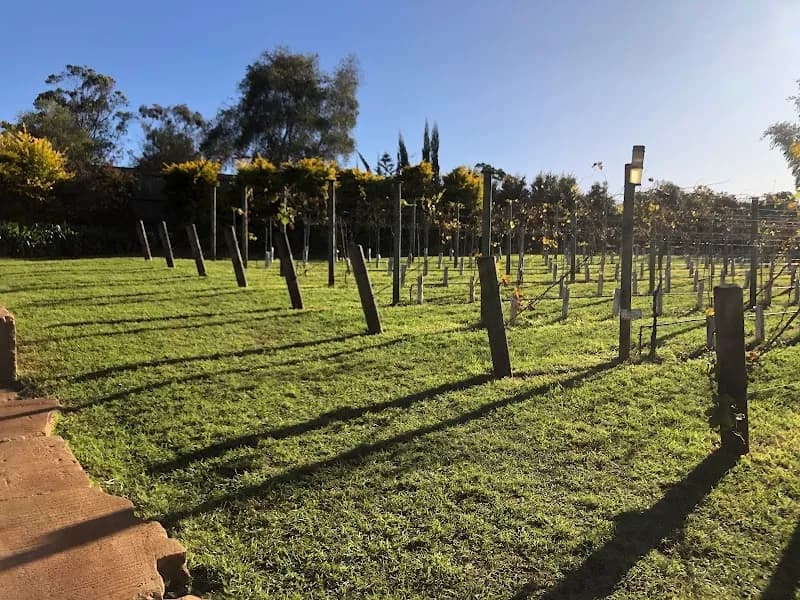 Witches Falls Winery winery in North Tamborine, QLD