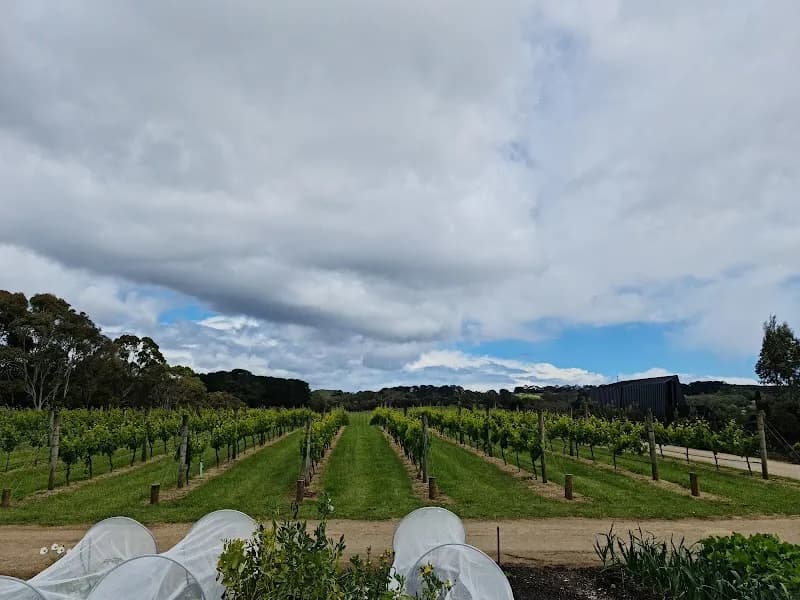Willow Creek Vineyard winery in Merricks North, VIC