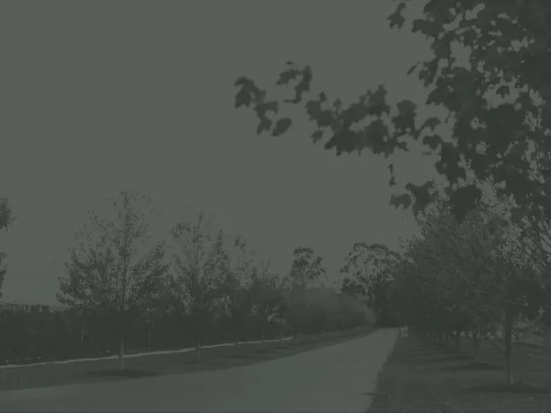 Punt Road Wines winery