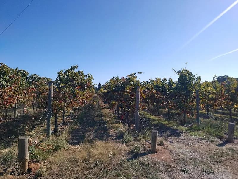 Shingleback Wine winery in McLaren Vale, SA