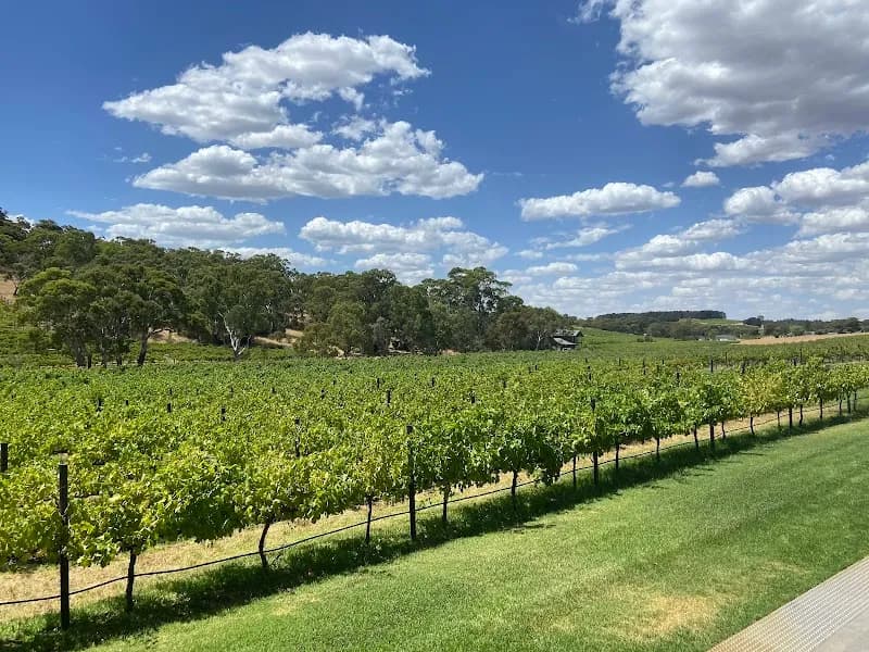Angove Family Winemakers winery in McLaren Vale, SA