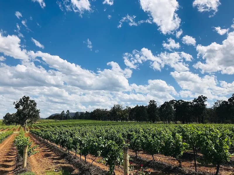 Mistletoe Winery winery in NSW