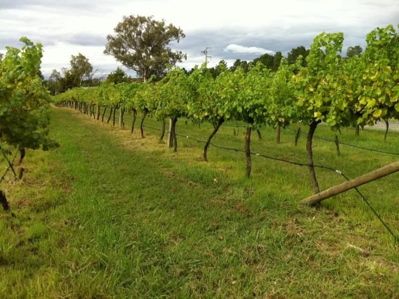Murrumbateman Winery winery in VIC