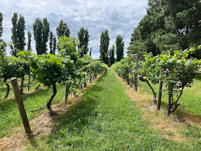 Helm Wines winery in VIC