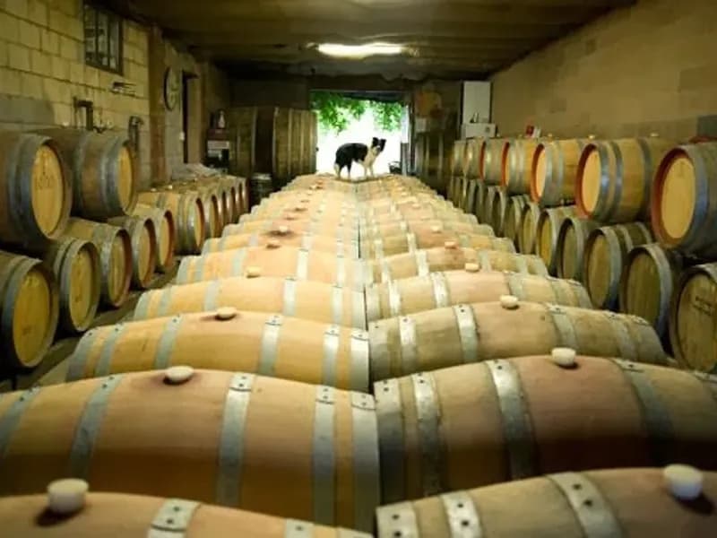 Helm Wines winery in VIC