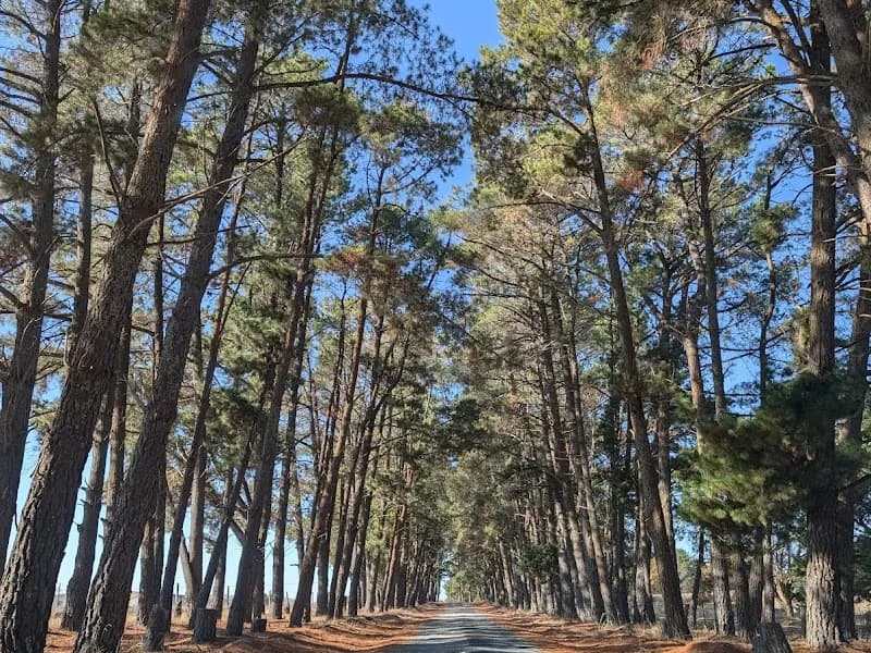 Eden Road Wines winery in VIC