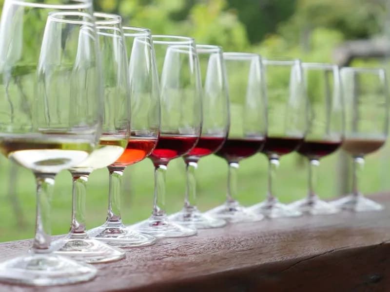The Queensland Wine Centre winery