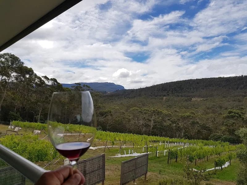 Nandroya Wines winery in Margate, TAS