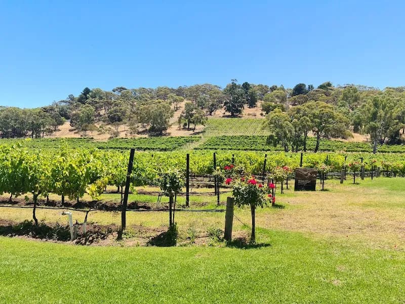 Samuel's Gorge winery in McLaren Vale, SA