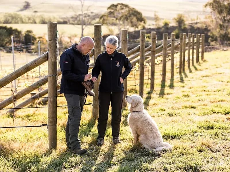 Wobbly Boot Vineyard winery in Campania, TAS