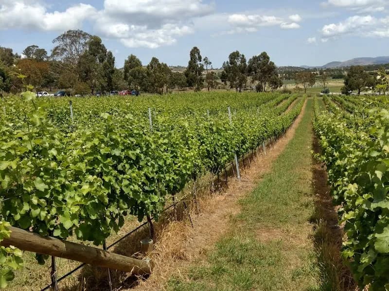 Wobbly Boot Vineyard winery in Campania, TAS