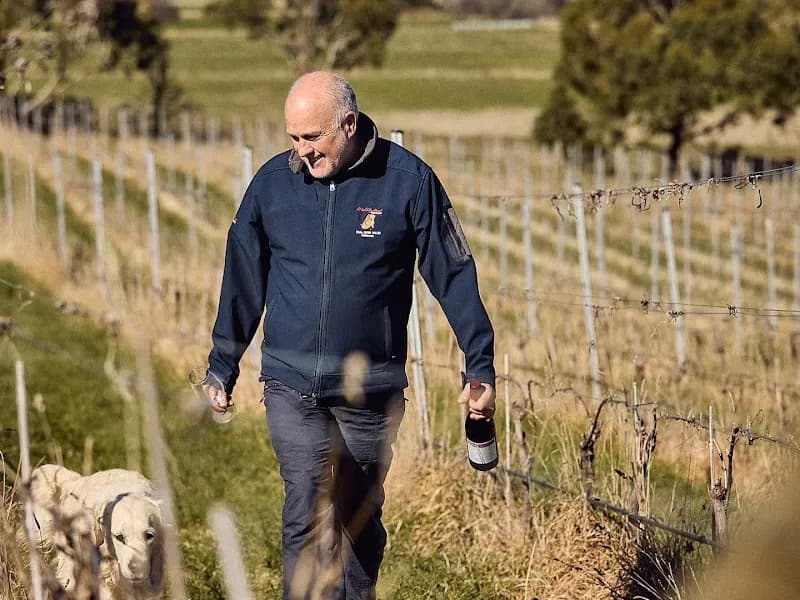 Wobbly Boot Vineyard winery in Campania, TAS