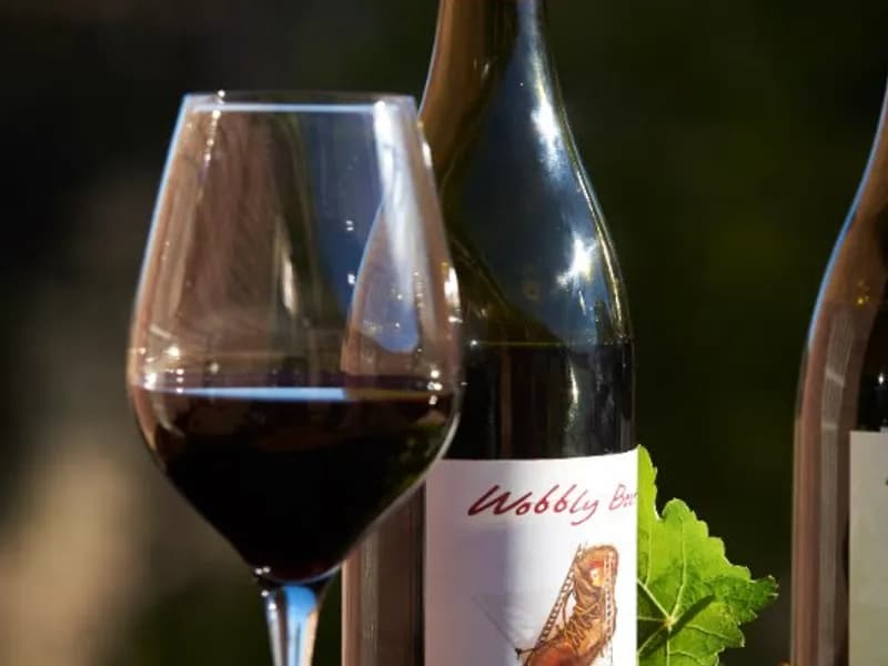 Wobbly Boot Vineyard winery in Campania, TAS
