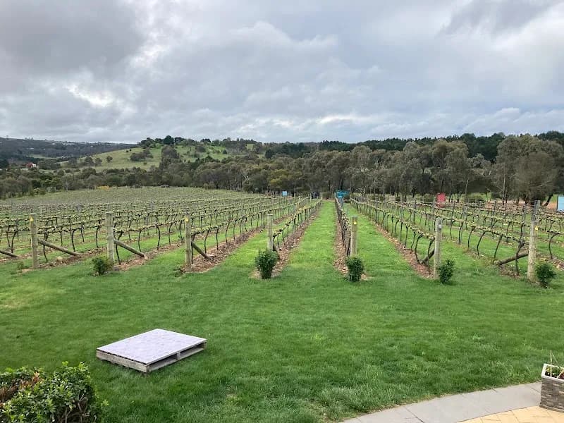 Contentious Character Urban Winery winery in ACT