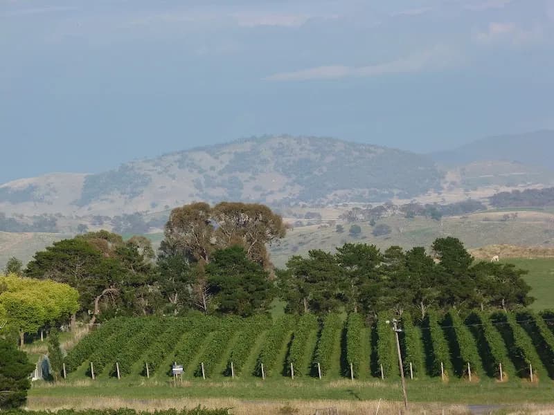 Pankhurst Wines winery in ACT
