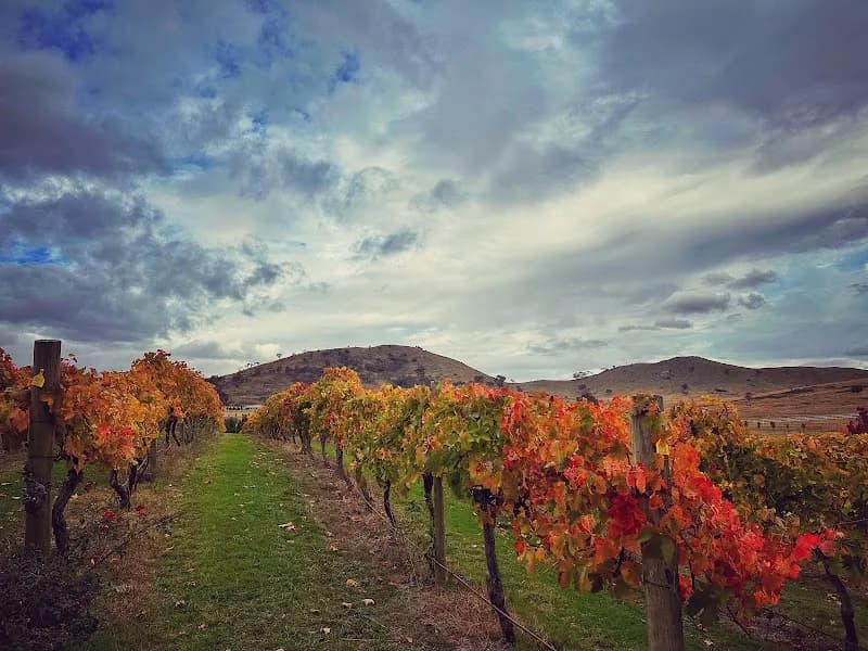 Brindabella Hills Vineyard and Winery winery in ACT