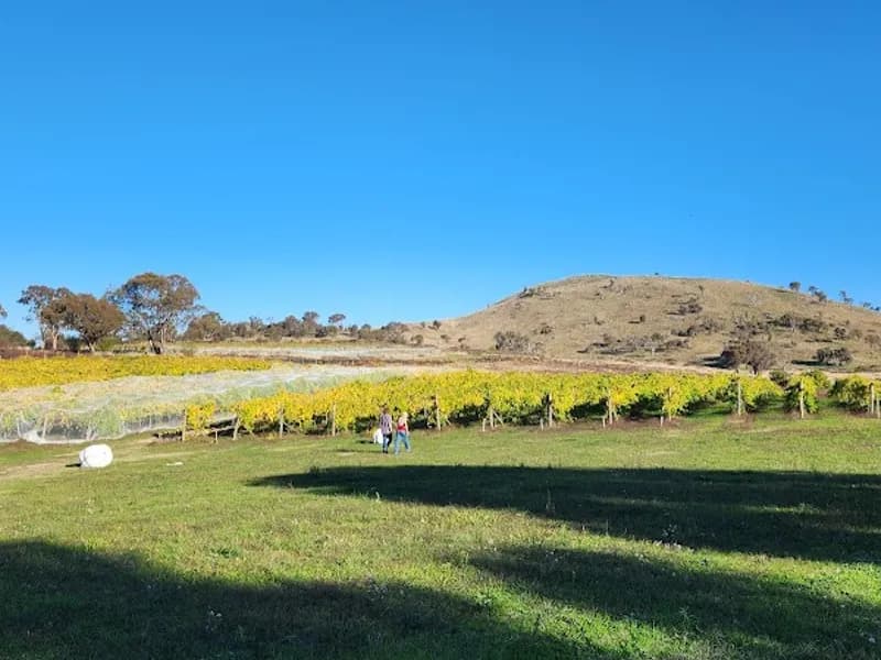 Surveyor's Hill Winery winery in ACT