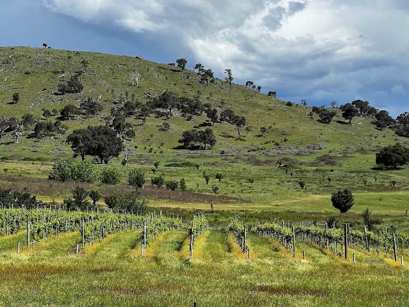 Surveyor's Hill Winery winery in ACT