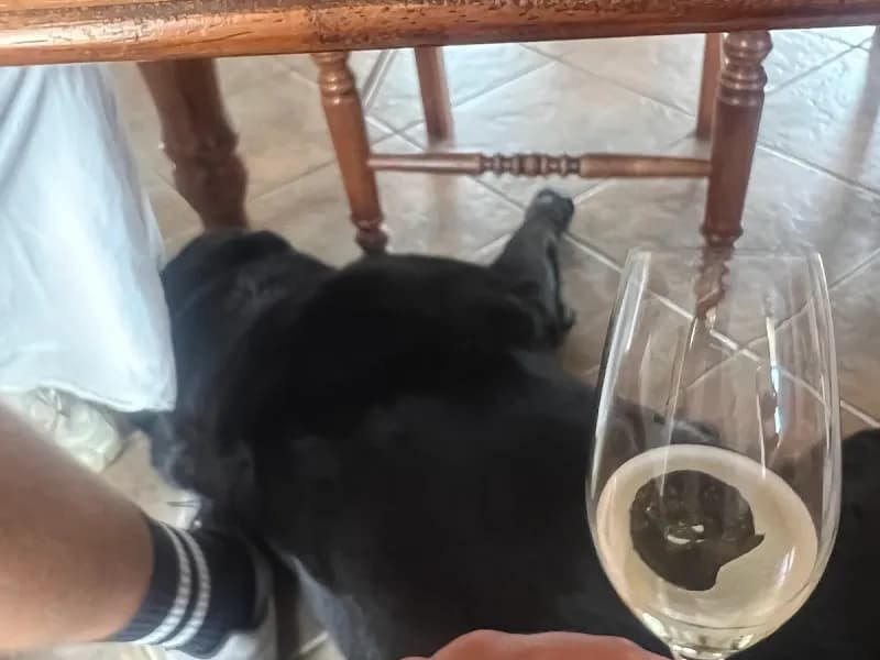 Pieter van Gent Winery & Vineyard winery in Eurunderee, NSW