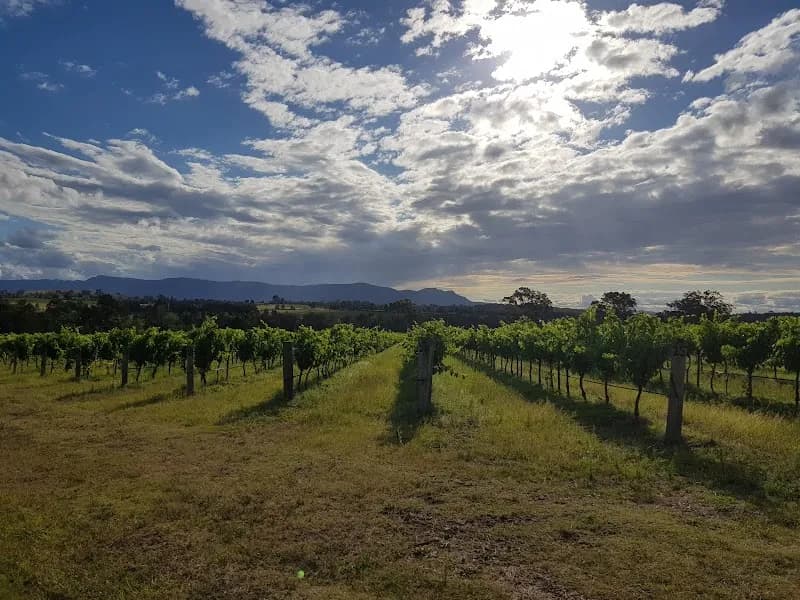 Eling Forest Winery winery in Sutton Forest, NSW