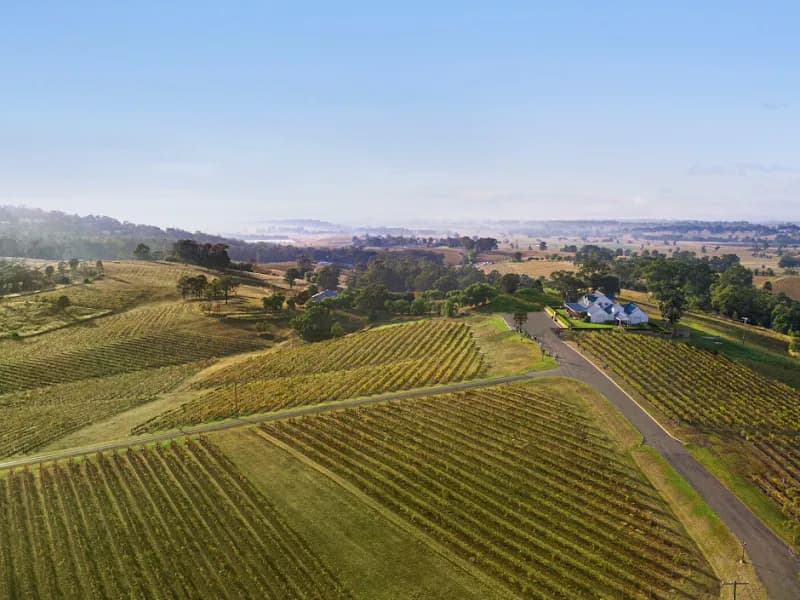 Lucy's Run Vineyard winery in NSW